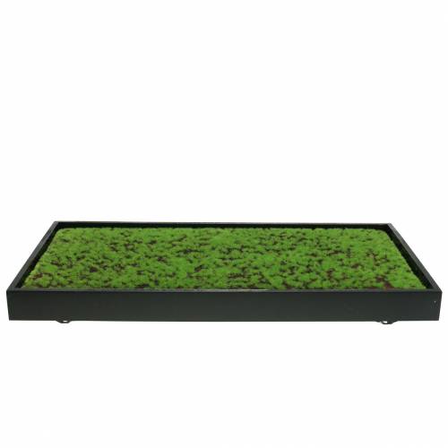daiktų Sienos samanos žaliame rėme 60x30cm Sienų apdaila iš samanų