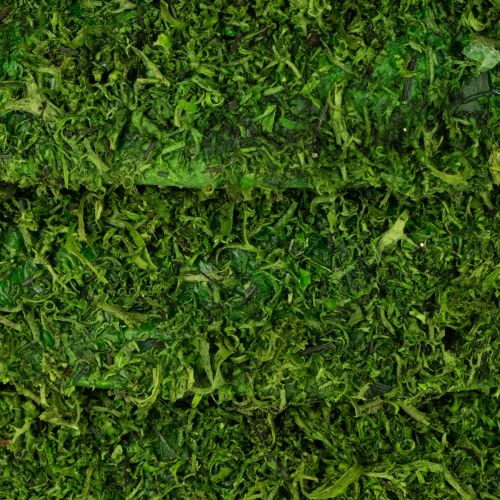 daiktų Dekoratyvinis samanų vainikas sezoninėms kompozicijoms ir individualiam dizainui, 15 cm, 6 vnt.