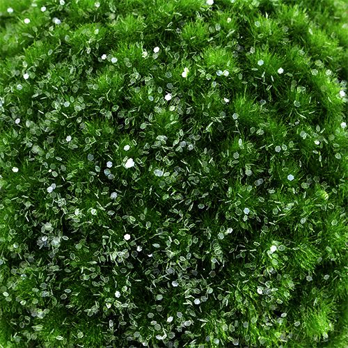 Floristik24 Samanų kamuoliukas žalias su žėručiu Ø15cm