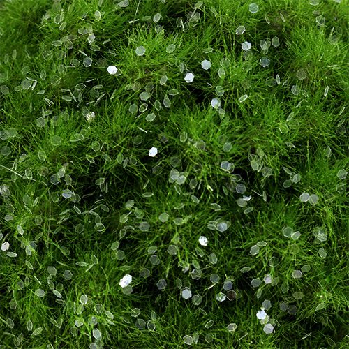 Floristik24 Samanų kamuolys su žėručiu Ø9cm žalias