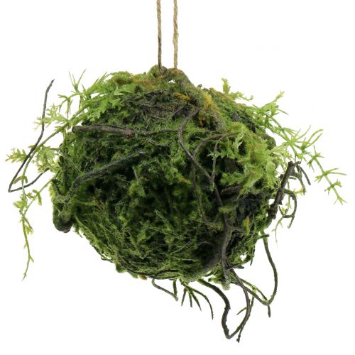 Floristik24 Samanų kamuolys Kokedama dirbtinė žalia Ø13cm