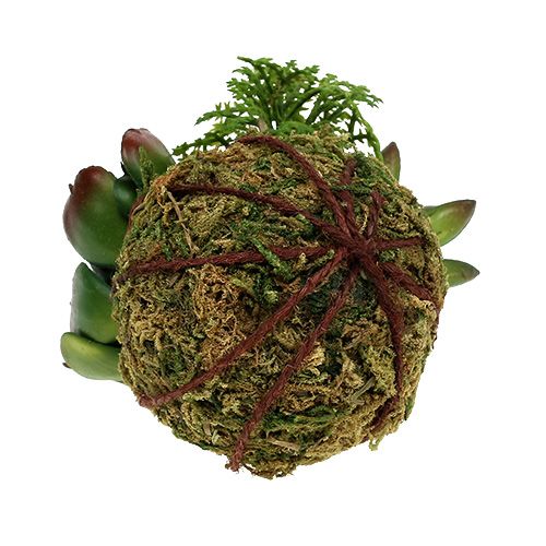 Floristik24 Kokedama Dirbtinė žalia Ø7cm