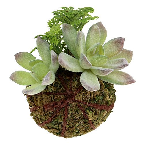 Floristik24 Kokedama Dirbtinė žalia Ø8cm