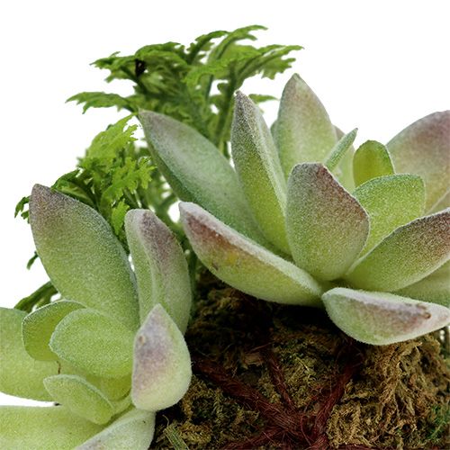 Floristik24 Kokedama Dirbtinė žalia Ø8cm