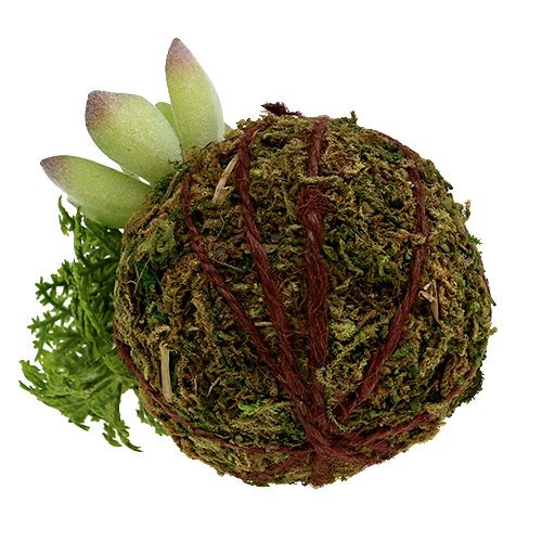 Floristik24 Kokedama Dirbtinė žalia Ø8cm