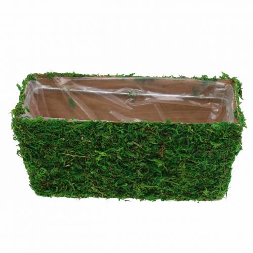 Floristik24 Planter Moss Green 20×10cm H9cm