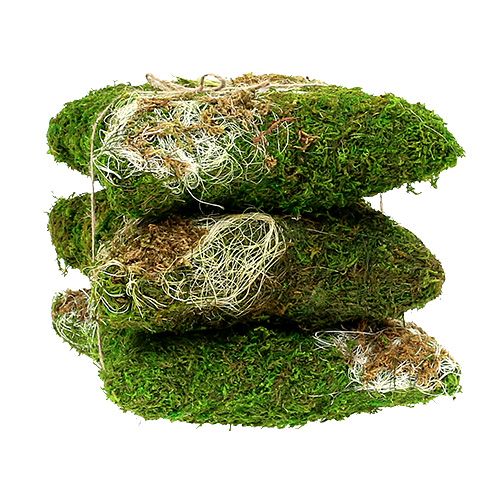 Floristik24 Samanų pagalvėlė sodinimui 20cm x 20cm 3vnt
