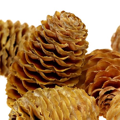 daiktų Sabulosum spurgų kremas 500g