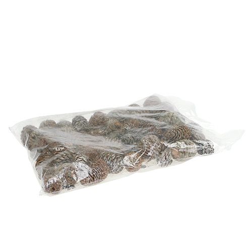 Floristik24 Murii kūgiai naturalūs 500g