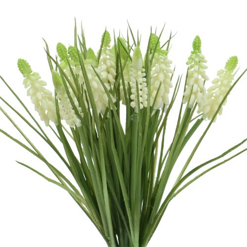 daiktų Vynuogių hiacintai kekėje balti 30cm 15 vnt