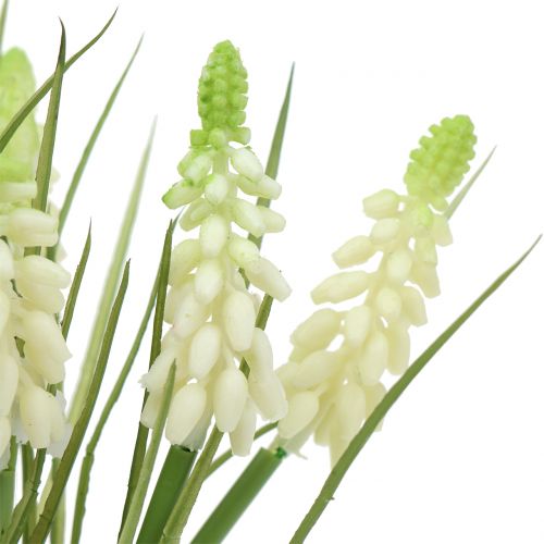 daiktų Vynuogių hiacintai kekėje balti 30cm 15 vnt