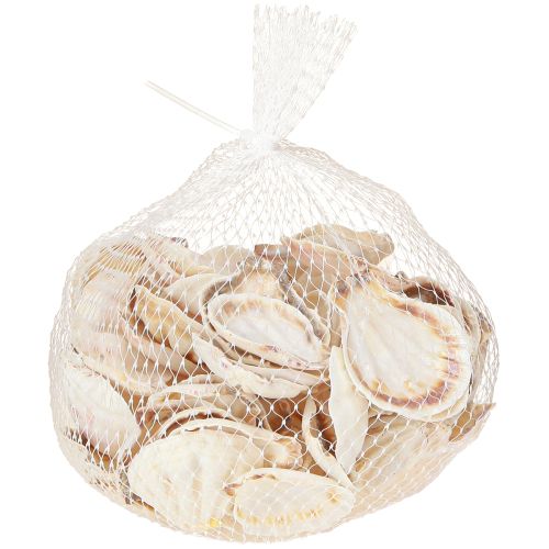daiktų Natūralios kriauklių puošybos šukutės 3,5cm–4cm 300g