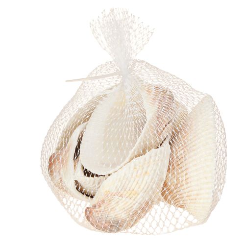 daiktų Kriauklių dekoravimo kriauklės baltos rudos širdelės 5-7cm 300g