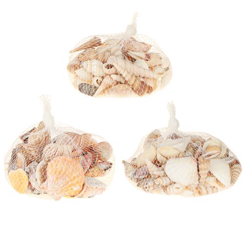 daiktų Jūros sraigė natūrali 350g × 3vnt