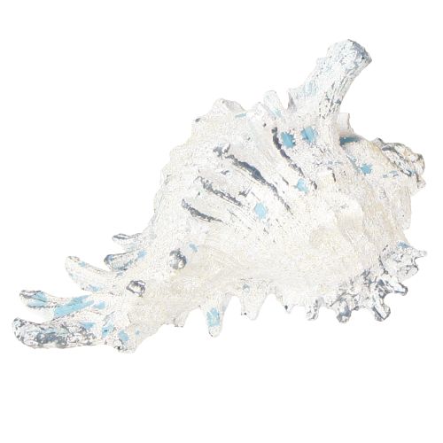 daiktų Jūros sraigės lukšto apdaila dirbtinė mėlyna-balta 11,5/13 cm 2 vnt.