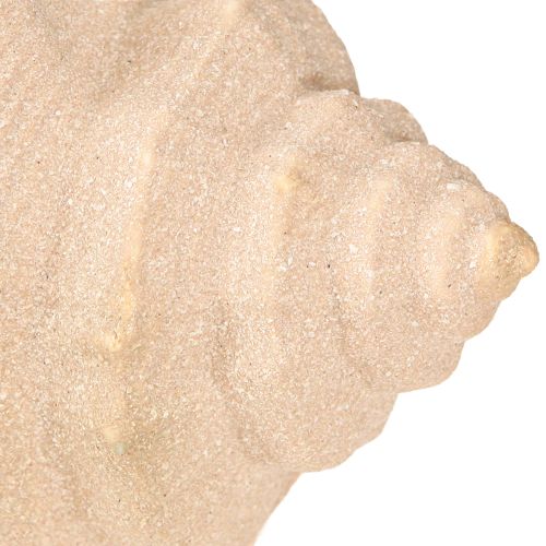 daiktų Shell Decoration Maritime Ceramic Blue Beige 16,5×11×9,5cm 2 vnt.