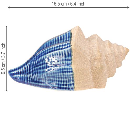 daiktų Shell Decoration Maritime Ceramic Blue Beige 16,5×11×9,5cm 2 vnt.