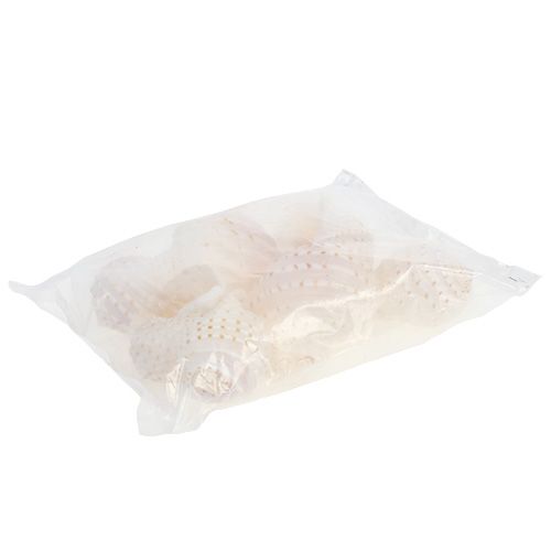 daiktų Midijos Tonna Tessalata 7 vnt