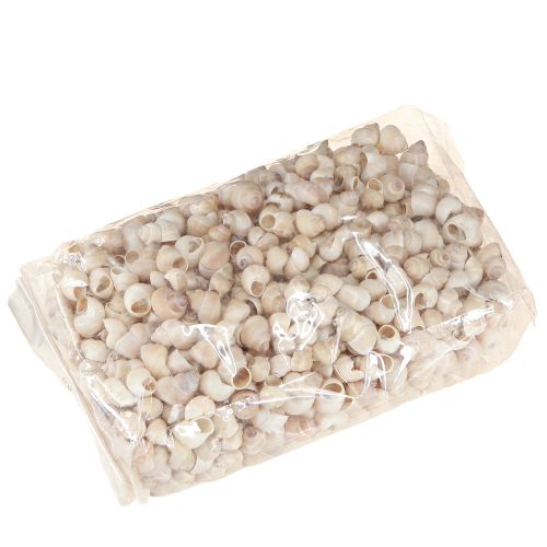 Floristik24 Midijos Umachi 500g