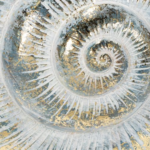 daiktų Dekoratyvinis sraigės formos indas jūriniam ir natūraliam sienų dizainui, pilkas, 21 cm