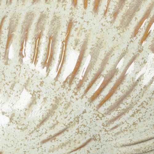 daiktų Keraminis dubuo su kriauklės raštu elegantiškam svetainės dekoravimui, 23 cm