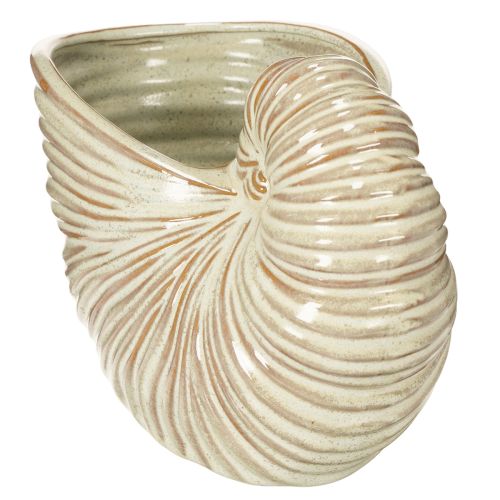 daiktų Keraminis gėlių vazonas su sraigės raštu ypatingoms augalų kompozicijoms, 21 cm