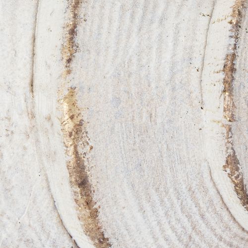 daiktų Dekoratyvinė kriauklės forma stilingai jūrinei dekoracijai, 44 cm