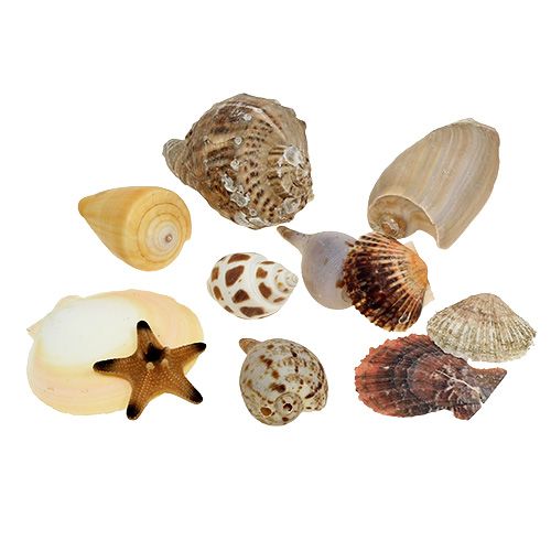 Midijų mišinys dėžutėje natūralus 380g
