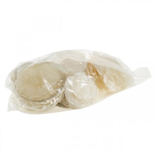daiktų Paplūdimio puošmena, capiz kriauklės 5-10cm, natūralūs daiktai, perlamutras, jūrinis 1kg