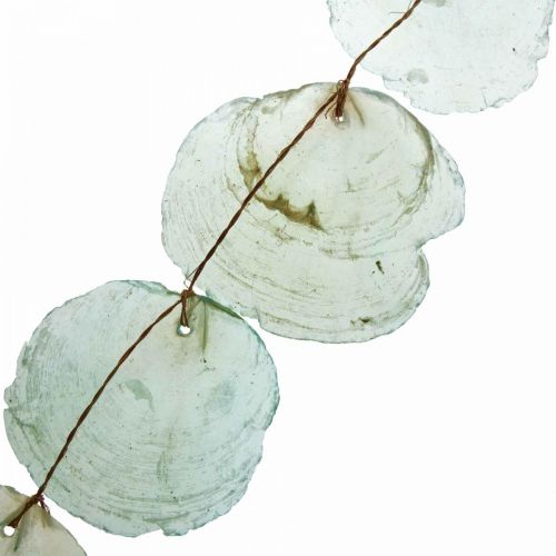 Floristik24 Shell Deco Capiz Girland Shell Girland Green 100cm