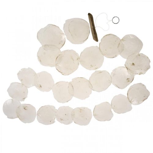 Floristik24 Shell Girland Mother of Pearl Shell Girland Capiz 195cm