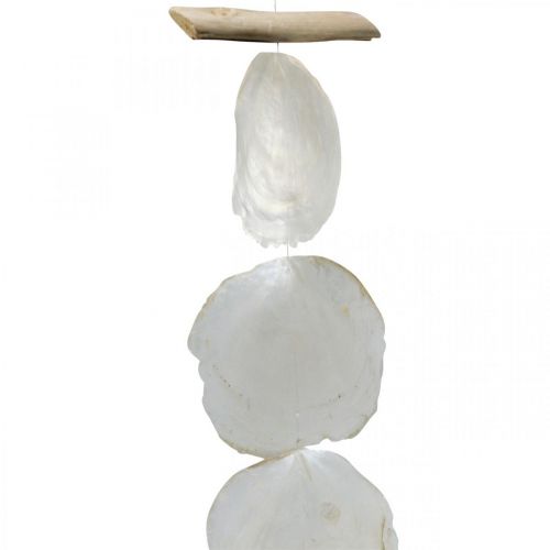Floristik24 Shell Girland Mother of Pearl Shell Girland Capiz 195cm