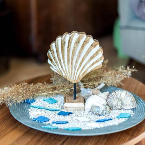 Floristik24 Korpusas su pagrindo medžiu baltas, gamtos 20 × 14cm Jūrinė svetainės apdaila