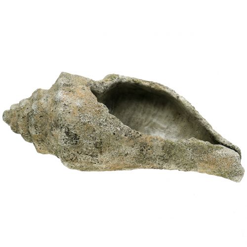 Floristik24 Apvalkalas sodinimui L40cm