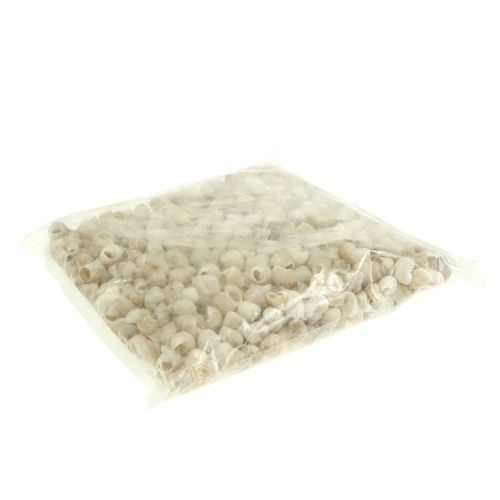 daiktų Midijos Umachi 500g