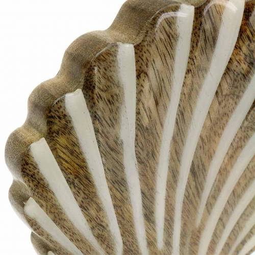 Floristik24 Korpusas su pagrindo medžiu baltas, gamtos 20 × 14cm Jūrinė svetainės apdaila