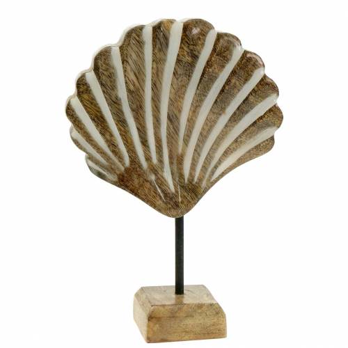 Floristik24 Korpusas su pagrindo medžiu baltas, gamtos 20 × 14cm Jūrinė svetainės apdaila