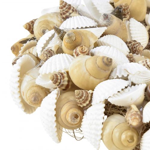 daiktų Kriauklių vainikas jūrinis kabantis dekoracija kokoso natūrali balta Ø25cm