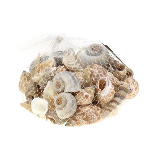 Floristik24 Shell mišinys natūralus 500g