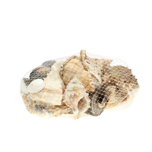Floristik24 Lukštų asortimentas natūralus 500g