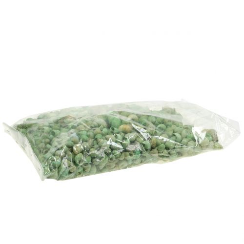 Floristik24 Sraigių kiautų asortimentas žalias 1kg