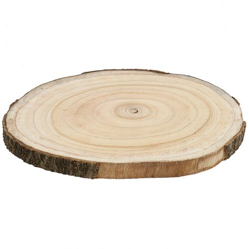 daiktų Medžio griežinėlis mėlynojo varpelio medis natūralus Ø30-35cm 1 vnt