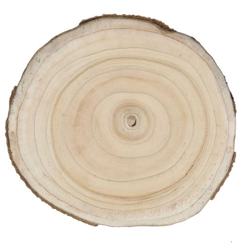 daiktų Medžio griežinėlis mėlynojo varpelio medis natūralus Ø30-35cm 1 vnt