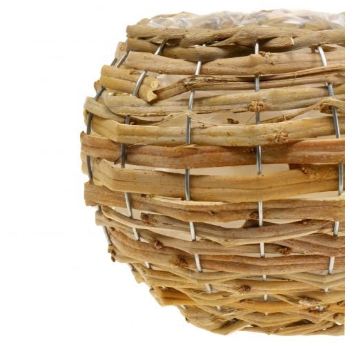Floristik24 Krepšinis kamuolys sodinimui šviesiai rudas Ø21cm