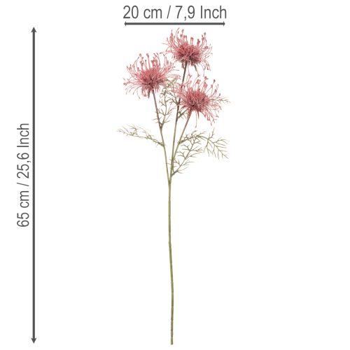 Dirbtinės gėlės adatėlių pagalvėlės protea žydinčios šakos 65cm 3vnt | Floristik24.lt