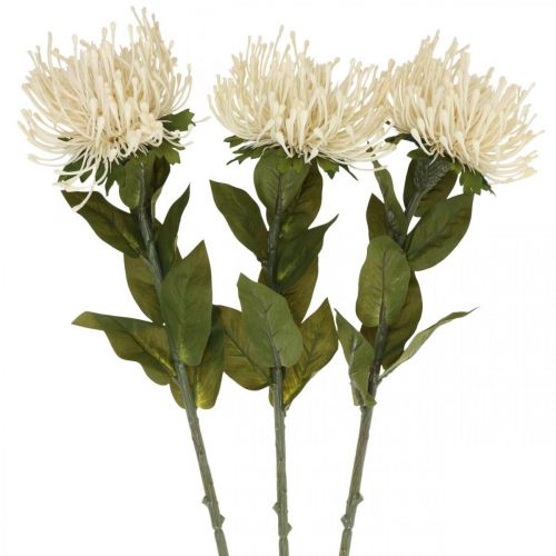 Floristik24 Smeigtuko pagalvėlė dirbtinės gėlės egzotiškos Protea Leucospermum kremas 73cm 3vnt.