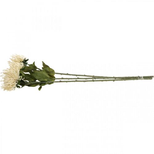 daiktų Smeigtuko pagalvėlė dirbtinės gėlės egzotiškos Protea Leucospermum kremas 73cm 3vnt.