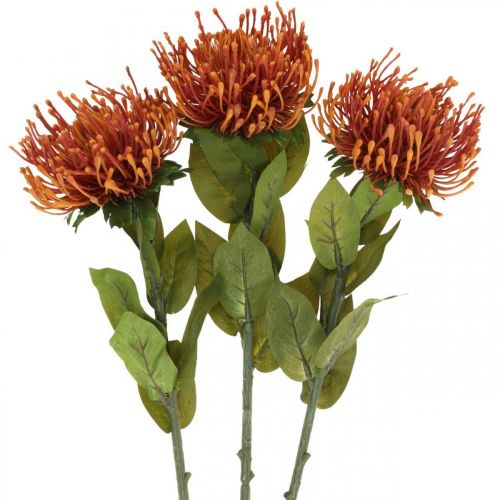 daiktų Pincushion Egzotinė dirbtinė gėlė apelsinas Leucospermum Protea 73cm 3vnt.