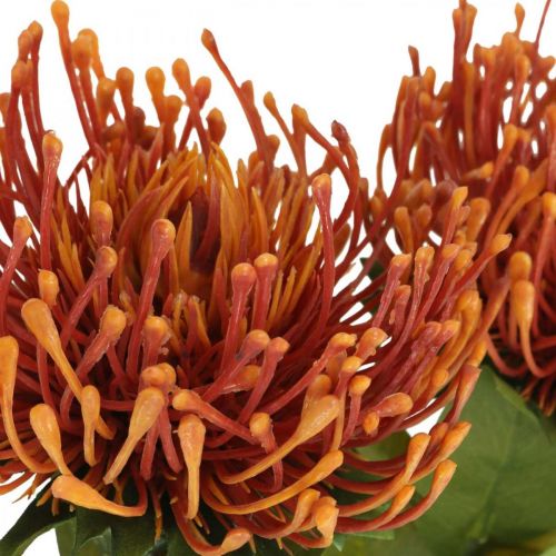 daiktų Pincushion Egzotinė dirbtinė gėlė apelsinas Leucospermum Protea 73cm 3vnt.