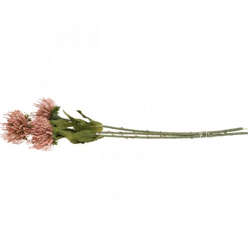 daiktų Rudens gėlių segtukas dirbtinis Protea Rosa Leucospermum 73cm 3vnt.